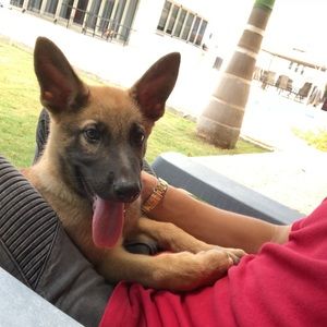 Meet your Posher, Diego